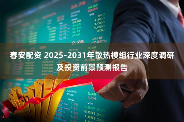 春安配资 2025-2031年散热模组行业深度调研及投资前景预测报告