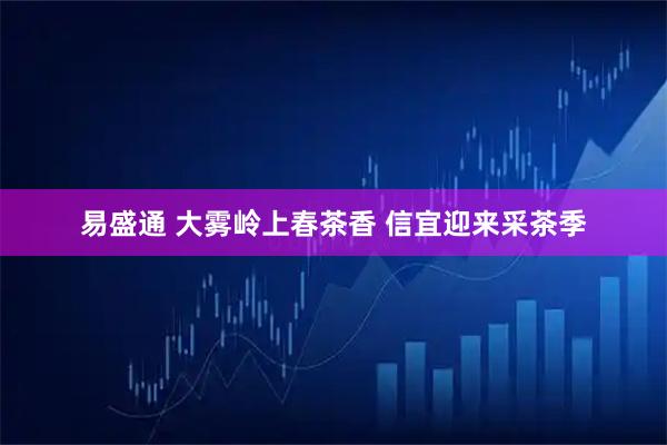 易盛通 大雾岭上春茶香 信宜迎来采茶季