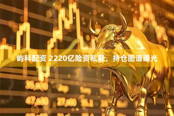屿科配资 2220亿险资私募，持仓图谱曝光